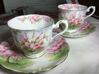 2 Royal Albert Crown China Cup/saucer England 799933 Blossom Time Pattern