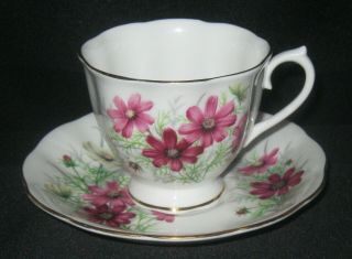 Royal Albert Friendship Series Of 12 Cosmos Cup/saucer