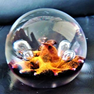 Caithness Glass Paperweight Signed Ciig Pebble (orange With Controlled Bubbles)