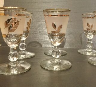 Set of 10 Vintage 1960’s Libby Frosted Gold Leaf Cordial Glasses 2