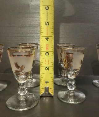 Set of 10 Vintage 1960’s Libby Frosted Gold Leaf Cordial Glasses 3