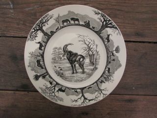 Vintage Kruger National Park Wedgwood Studio Pottery Sable Antelope Dinner Plate
