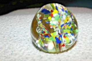 Vintage Art Glass Paperweight With Flowers 2 1/2 