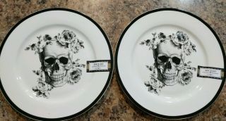 Ciroa Wicked Halloween Skull Set Of 2 - 8 " Plates Black/ White Floral Roses