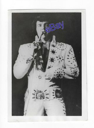 Elvis Presley Concert Photo On Tour White Pinwheel Suit 1972 Jim Curtin