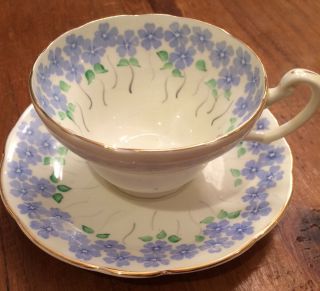 Eb Foley Bone China Made In England Tea Cup And Saucer Pastel Floral