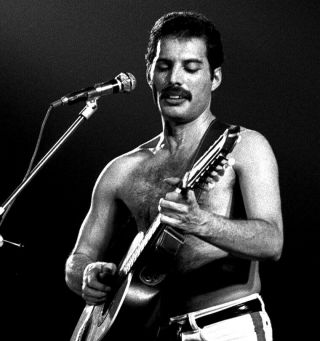 Queen Photo,  Freddie Mercury,  Brian May 8x11 " Photograph,  Hi Quality,  $2