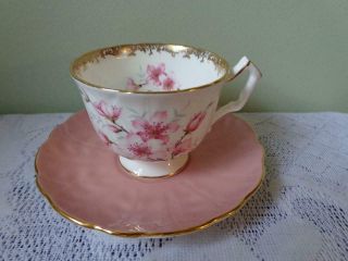 Aynsley Bone China Deep Pink/white Pink Wild Roses Crocus Style Cup & Saucer