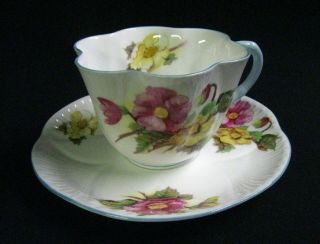 Scarce Vintage Shelley “begonia” Bone China Porcelain Cup & Saucer,