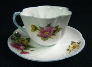 SCARCE Vintage Shelley “Begonia” Bone China Porcelain Cup & Saucer, 3