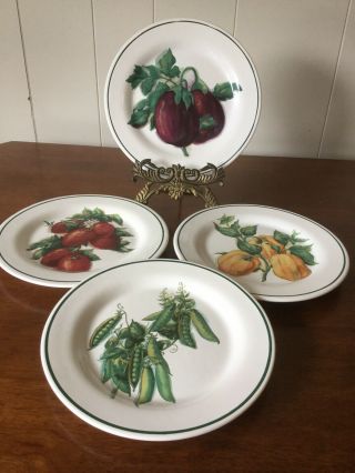 Williams Sonoma Harvest Vegetable Salad Plates
