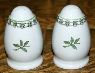 Spode Fine Stone Summer Palace W150 Salt and Pepper Shakers 2 3/4 