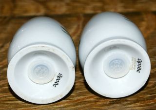 Spode Fine Stone Summer Palace W150 Salt and Pepper Shakers 2 3/4 