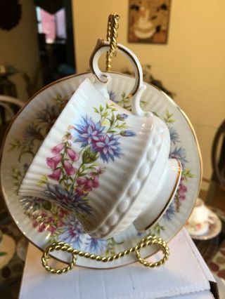 Vintage Tea Cup & Saucer Queens Rosina " Wild Flowers " (rare Find)