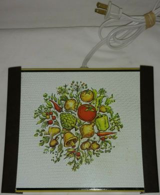 Vintage Spice Of Life Electric Hot Plate Corning Corelle Vegetable Design