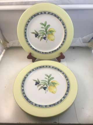 Set Of 4 Royal Doulton Carmina Lemons 11 " Dinner Plates