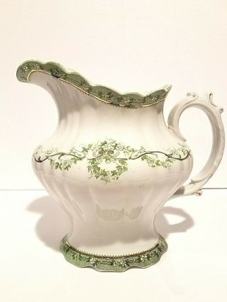 Royal Wedgwood Pitcher Semi Porcelain,  Green And White With Gold Accent,  Ideal