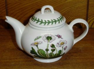 Portmeirion Porcelain Individual Teapot & Lid Botanic Garden - Daisy - 4 "