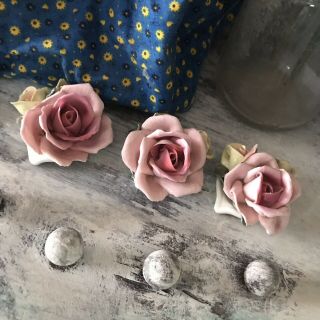Vintage Antique Set Of 3 Roses Capodimonte