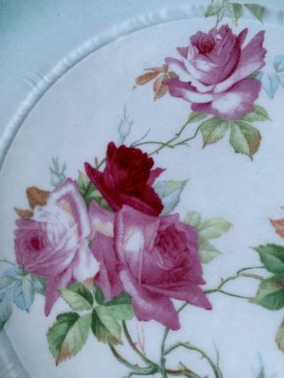 C.  T.  Germany Carl Tielsch Altwasser Antique Porcelain Pink Rose Design Plate 2