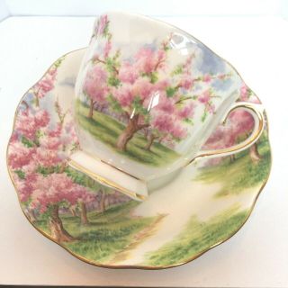 Royal Albert Bone China Tea Cup And Saucer Blossom Time