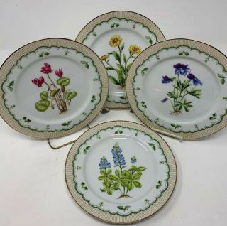 Set Of 4 Georges Briard Victorian Gardens Salad Plates Botanical Cottage Chic
