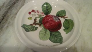 Portmeirion " Pomona " 8 5/8 " Hoary Morning Apple Salad Plate