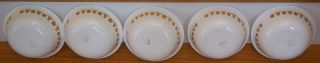 Pyrex - Corelle By Corning - Butterfly Gold - 5 Cereal Soup Salad Bowls 6 1/4 "
