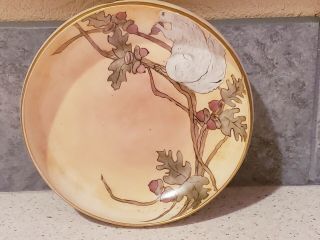 Imperial Austria Hand Painted Imperial Psl Bowl W/squirrel And Acorns