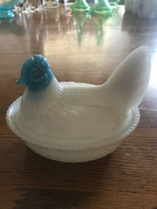 Westmoreland Nesting Hen.  Blue And White.  5 1/2 Inches Across