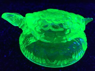 Green Vaseline Glass Turtle Uranium Tortoise Paperweight Snapping Candy Dish Art