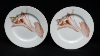 Fitz & Floyd China Coquille Pattern Salad Plate - Set Of Two (2) - 7 - 5/8 "