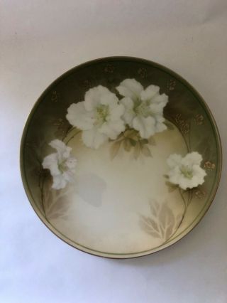 Reinhold Schlegelmilch Rs Germany Hand Painted Floral Plate 8 1/2” Wild Roses