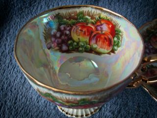 Vintage Fan Crest China Tea Cup & Saucer 7295 Grapes Plums Pearl Luster 3
