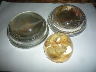 3 Vtg Floral Butterfly Glass Domed Paperweight w/dried flower arrangement inside 2