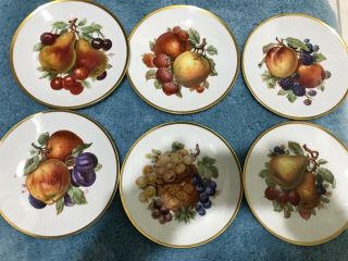 Vintage Mitterteich Bavaria Porcelain Fruit Design (6) Six Salad Accent Plates