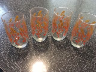 Four Vintage Orange Yellow Floral Drinking Glasses