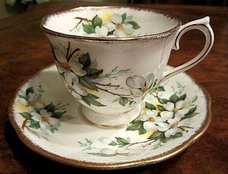 Vintage Royal Albert White Porcelain Tea Cup & Saucer " White Dogwood "