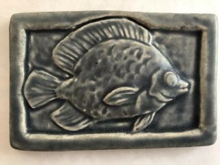 Whistling Frog Tile Co ‘butterfly Fish’ 4x6 Blue Tile Usa