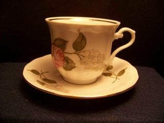 Wakbrzych,  Southington By Baum,  Briar Rose,  Poland Fine China Tea Cup / Saucer