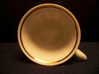 Wakbrzych,  Southington by Baum,  Briar Rose,  Poland Fine China tea cup / saucer 5