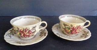 Wade Hedgerow Vintage England Cup And Saucer Porcelain Set Of 2
