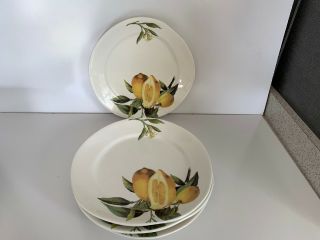 Opificio Etico Made In Italy Ceramic 11 1/4 In Dinner Plates Serving For Four