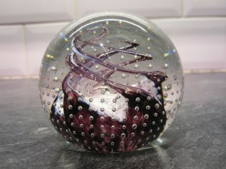 Stunning Scottish Caithness Glass Paperweight Purple And White Swirl