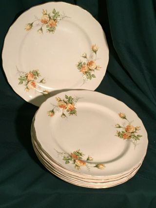 Set Of 6 Dinner Plates Golden Era By Canonsburg 10 1/8