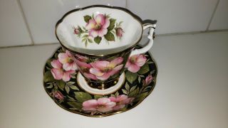 $84 Royal Albert Provincial Flowers Alberta Rose Footed Tea Cup And Saucer
