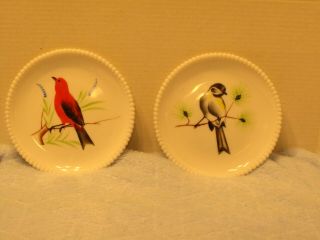 Westmoreland Milk Glass Bird Plates Set Of 2 With Beaded Edge S2 - 4