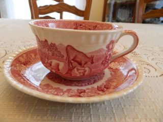 Adams China Staffordshire English Scenic Red/pink Teacup & Saucer 5 - 1