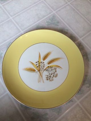 Vintage Autumn Gold 10 " Dinner Plate By Century Service Corp.  Alliance Ohio