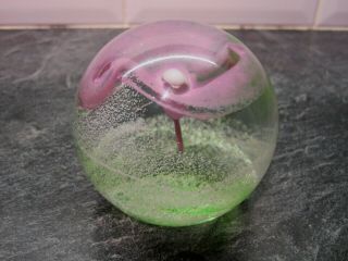 Stunning Scottish Caithness Glass Paperweight Entitled Calypso